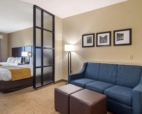 Comfort Suites Byron Warner Robins Hotels in Peach County