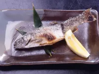 鹿教湯温泉　鹿乃屋旅館 鹿教湯温泉周辺のホテル