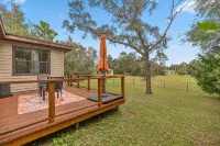 Minutes from Kayaking, Paddleboarding, Natural Springs, and Cedar Key Beach. - Wifi