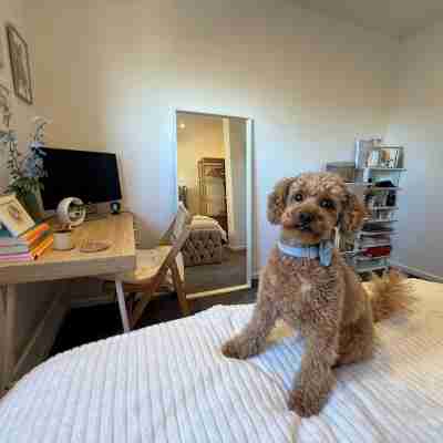 5 Star Room Near London City Airport Rooms