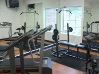 Rio Vista Inn Business High Class Tampico - gimnasio