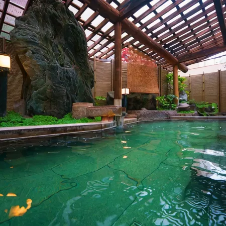 Hotel Hisagoso