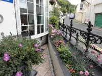 Edelweiss Guest House - Havudsigt