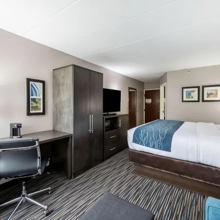 Comfort Inn Chicago Schaumburg - O'Hare Airport