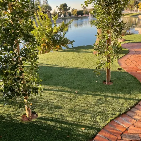 WATER FRONT SWEET HOME