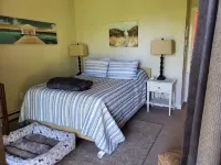 Your Cape Cod respite awaits! 5 minutes walk to quiet bay beach. - Homestays