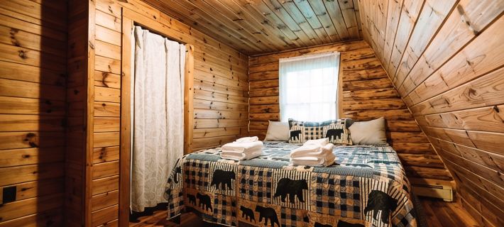Afton Cabin 체나고 카운티 호텔