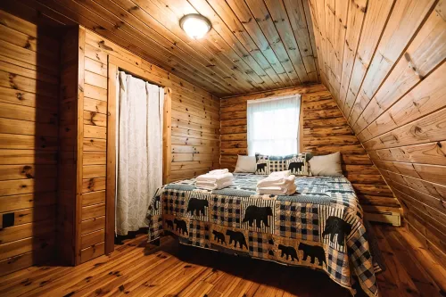 Afton Cabin - 3-Star
