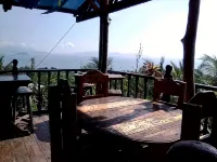 Windy Willow's - Guest houses