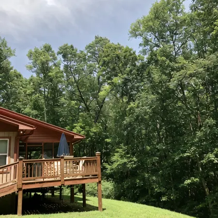 BearPaw Cabin- Charming and cozy cabin in the woods- WiFi-Pet Friendly-Secluded