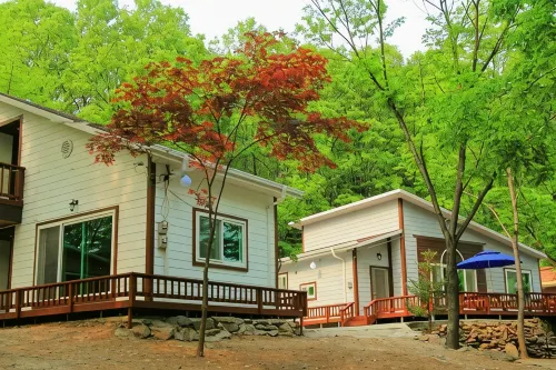 Yeoju Zelkova Pension - 2 星級