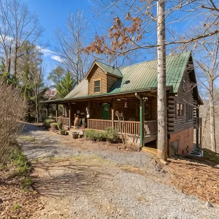 Beamer's Dugout Cabin in Lake Lure