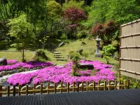 Koyasan Syukubou Fudouin - Scenic