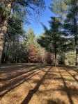 Cabin in waterfall country with trail access and screened porch.  Pet friendly! - 2-Star