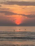 Ocean Hammock Paradise-5Br 4BA, Private Pool, 1 Min Walk to Beach,Family Retreat - 4 stjerner