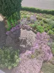 Gemütliche Ferienwohnung mit Terrasse und Wunderschönem Garten - Homestays