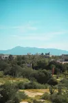 Baja Temple - Airport Shuttle