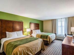 Comfort Inn & Suites Panama City North