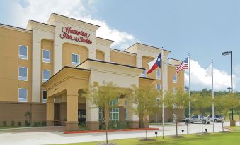 Hampton Inn & Suites Palestine