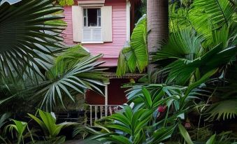 Pink Plantation House