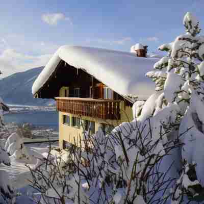 Der Westerhof Hotel Hotel Exterior