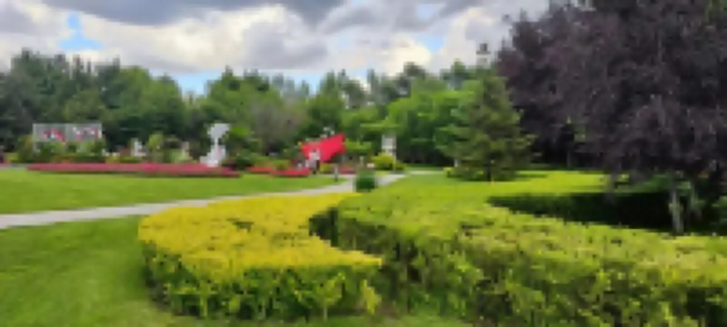 Changchun le live in homestay