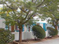 Obesa Lodge Hotels in Camdeboo Local Municipality