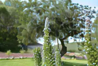 Quinta do Freixo Hotels in São Bartolomeu de Messines
