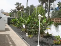 Apartamentos Erika - Adults Only