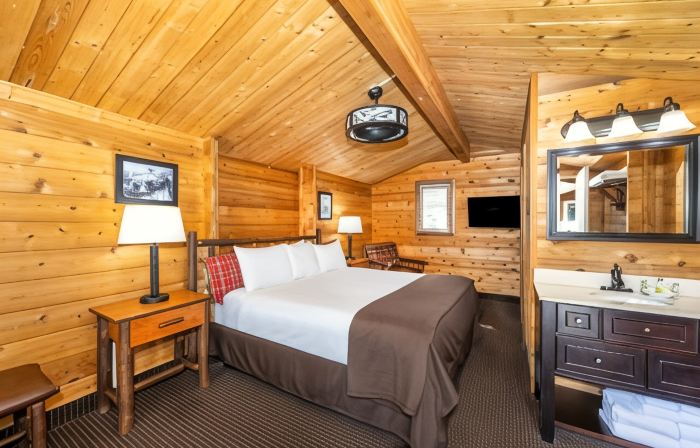 Denali Park Village