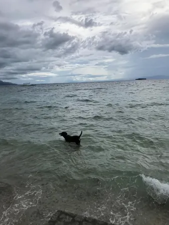 Gerty's Tourist Inn Powered by Cocotel