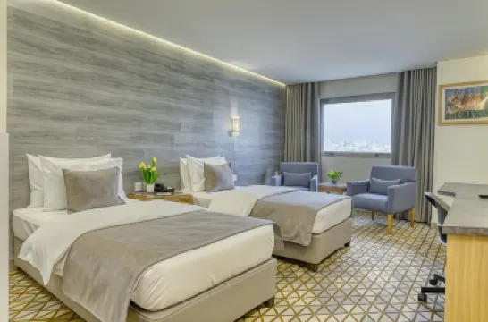 Geneva Hotel Hoteles cerca de Real Museo del Automóvil