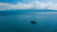 Emoha Dive Resort Hotels in San Jose