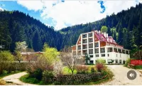 Hotel Green Valley Savsat