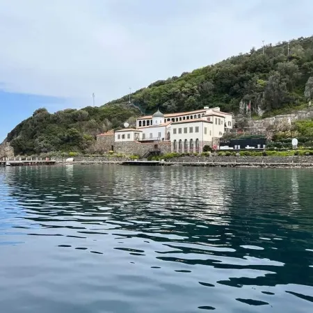 Siyah Lale Cunda 1841