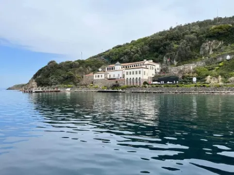 Siyah Lale Cunda 1841