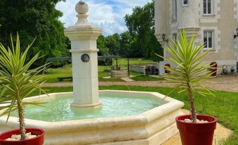 Chateau de Bellevue B&B et Appartements Avec Piscine chauffée et Chambres Partout climatisées