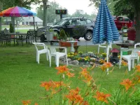 Chateau Motor Lodge - Motels