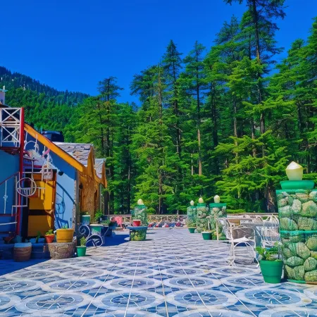 Hotel Mountain Top