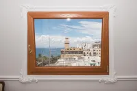 آي سيتري - صديق للحيوانات الاليفة