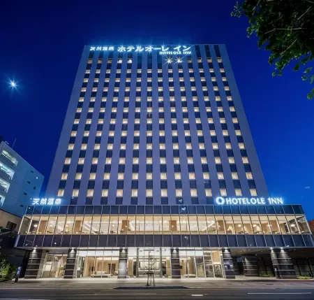 Hotel Ole Inn Отели рядом со станцией Shin-shizuoka Railway Station