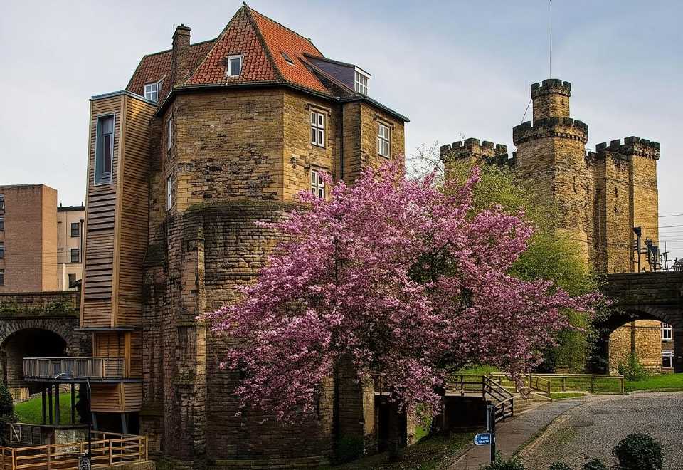 Castle — tower house in Newcastle (kells Lower By.)