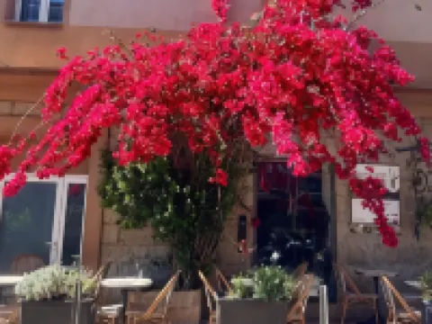 Holzer II Hotels in Porto-Vecchio