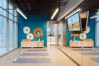 Sentral Michigan Avenue - Gym