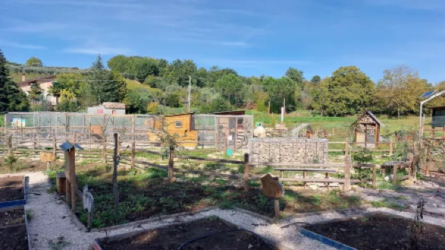 Il poggio degli antichi sapori