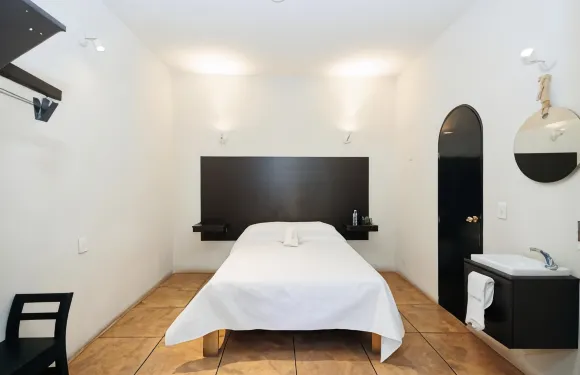 莫雷利亞的Hotel Allende