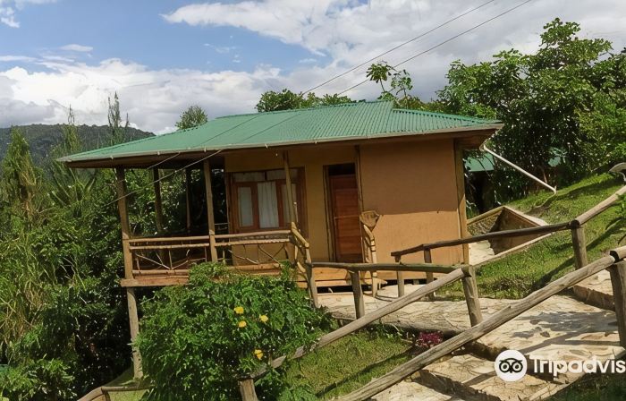 Ichumbi Gorilla Lodge
