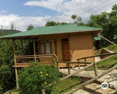 Ichumbi Gorilla Lodge Hotels in Bufumbira