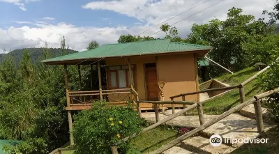 Ichumbi Gorilla Lodge Hotels in 