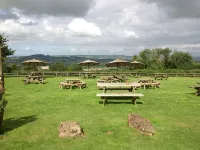 Winyard's Gap Inn - Inns